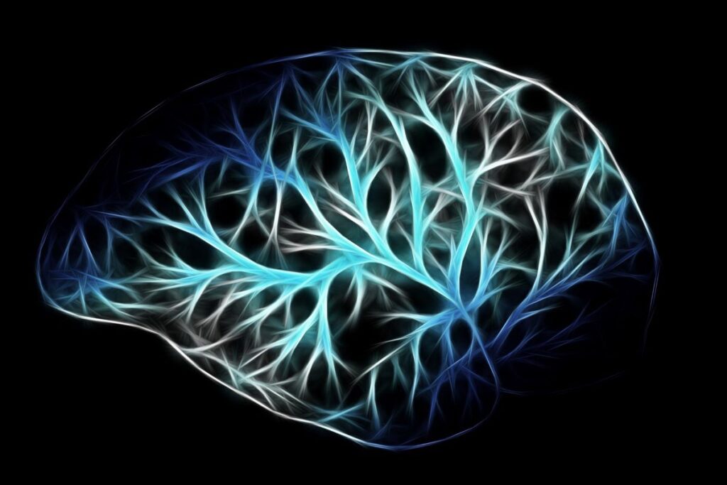 cerveau réseau neuronal